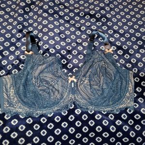 Lane Bryant Balconette bra 46DD